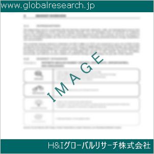 グローバルリサーチ調査資料のイメージ